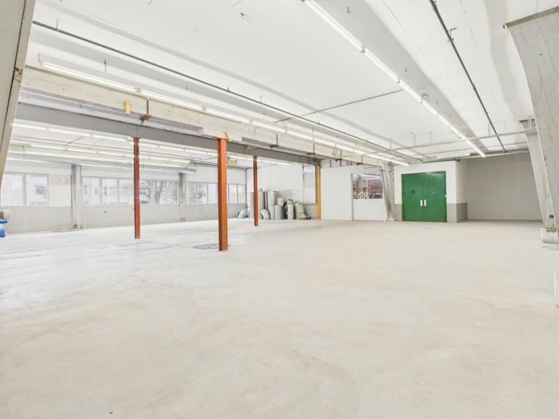 Spazio commerciale attraente di circa 464 m2 (4)