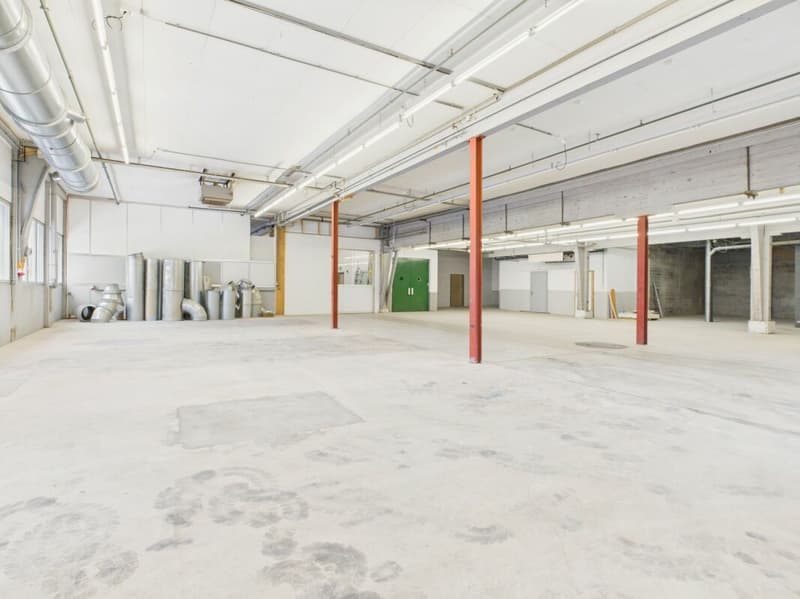 Spazio commerciale attraente di circa 464 m2 (5)