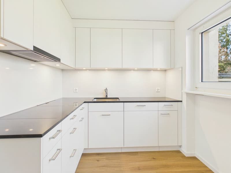 Erstbezug nach Totalsanierung: Stilvolle 4.5-Zimmer-Wohnung mit Top-Anbindung (1)