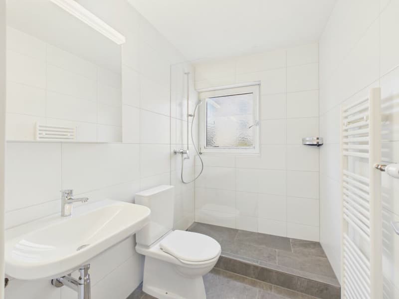 Erstbezug nach Totalsanierung: Stilvolle 4.5-Zimmer-Wohnung mit Top-Anbindung (3)