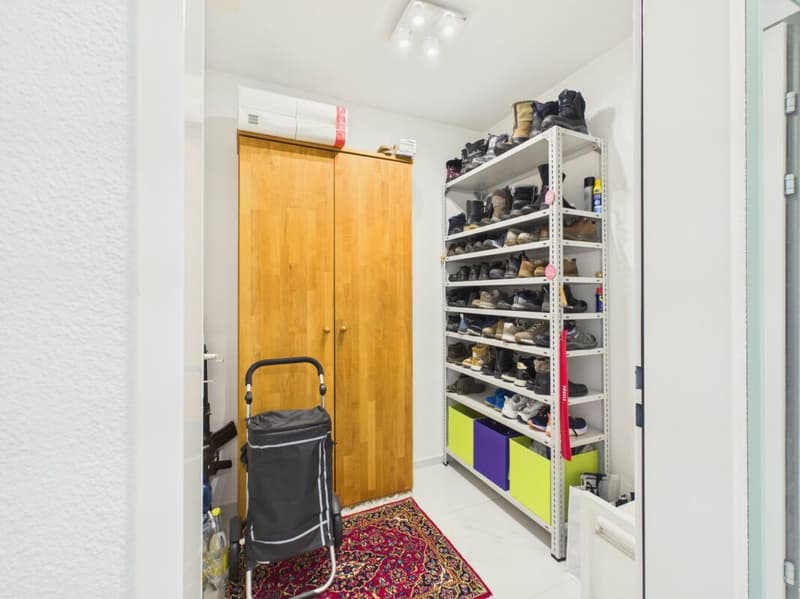 Modern 4.5-room apartment in Oberuzwil (10)
