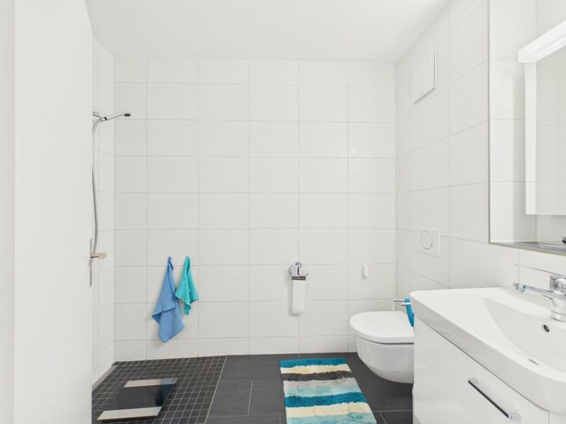 Modern 4.5-room apartment in Oberuzwil (11)