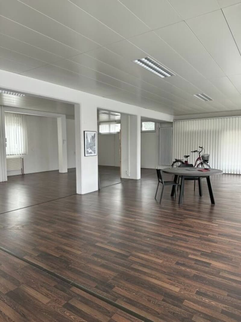 Top commercial space with plenty of light and ideal presentation area (5)