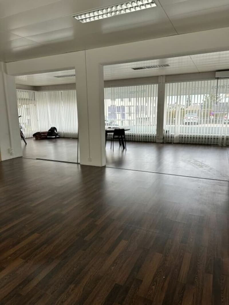 Top commercial space with plenty of light and ideal presentation area (4)