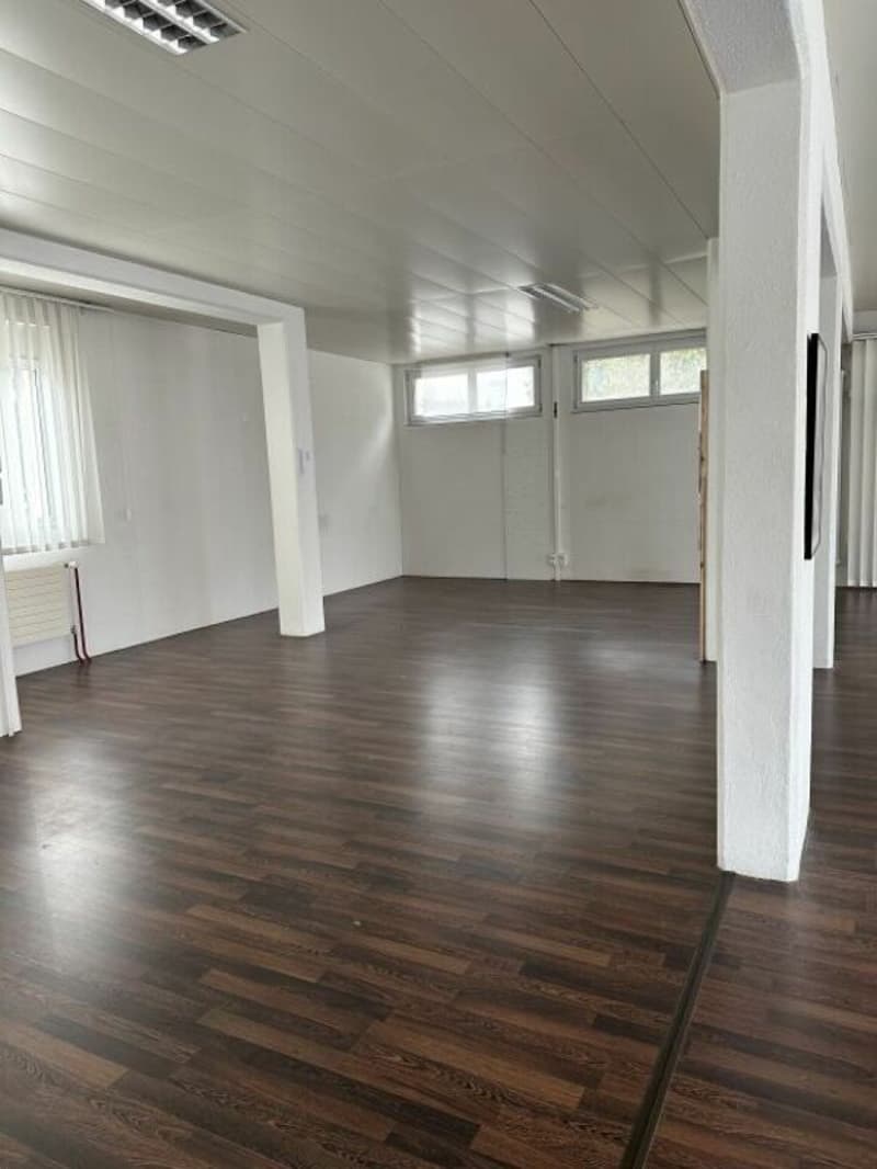 Top commercial space with plenty of light and ideal presentation area (3)