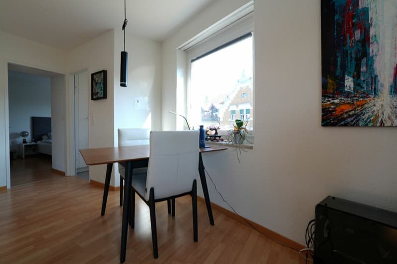 Gemütliche 2-Zimmerwohnung an zentraler Lage in St. Gallen (3)