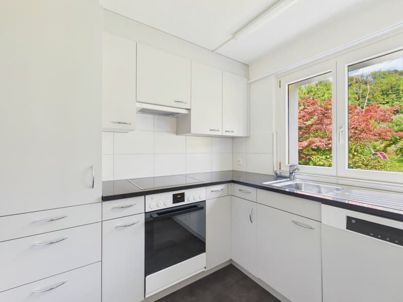 Renovated 3.5-room apartment with seating area! (1)