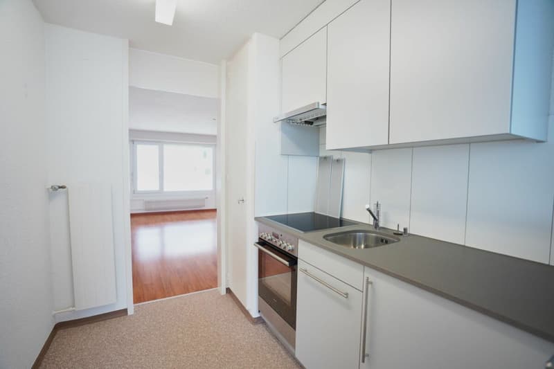1-Zimmerwohnung mit grossem Balkon (6)