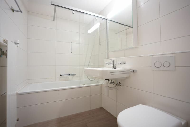 1-Zimmerwohnung mit grossem Balkon (3)