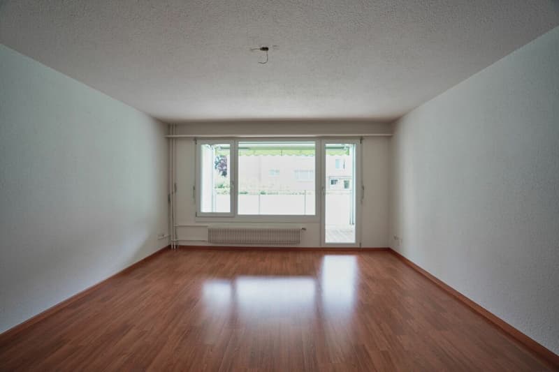 1-Zimmerwohnung mit grossem Balkon (1)