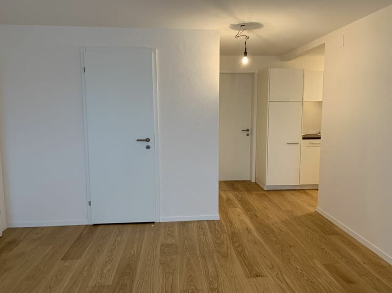 neuwertige 2-Zimmer-Einliegerwohnung an erhöhter Lage (2)