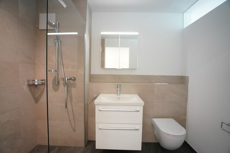 Moderne 4.5-Zimmerwohnung mit attraktivem Sitzplatz an ruhiger Lage (10)