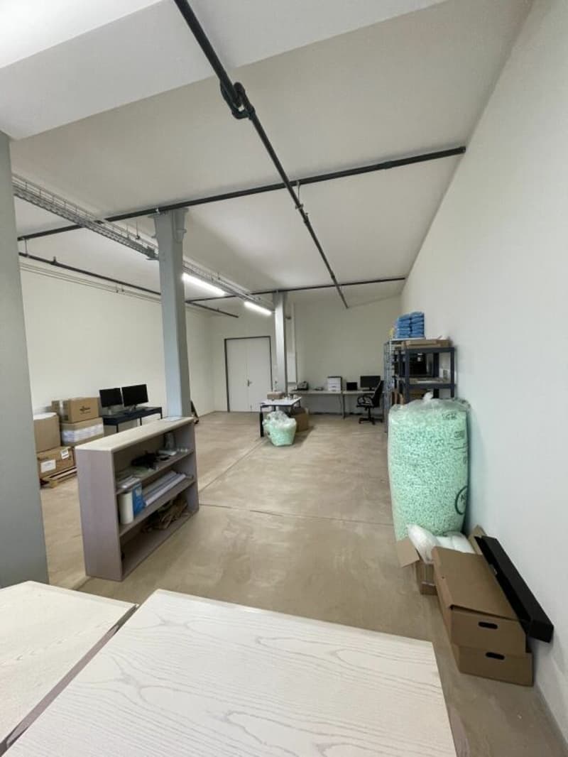 72 m2 Gewerbeflächen in modernem Gewerbehaus mit exklusivem Rohausbau (2)