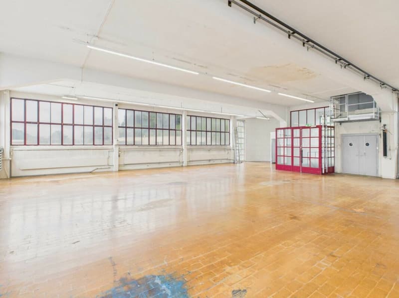 465 m² Gewerbe-, Lager- oder Atelierfläche (3)