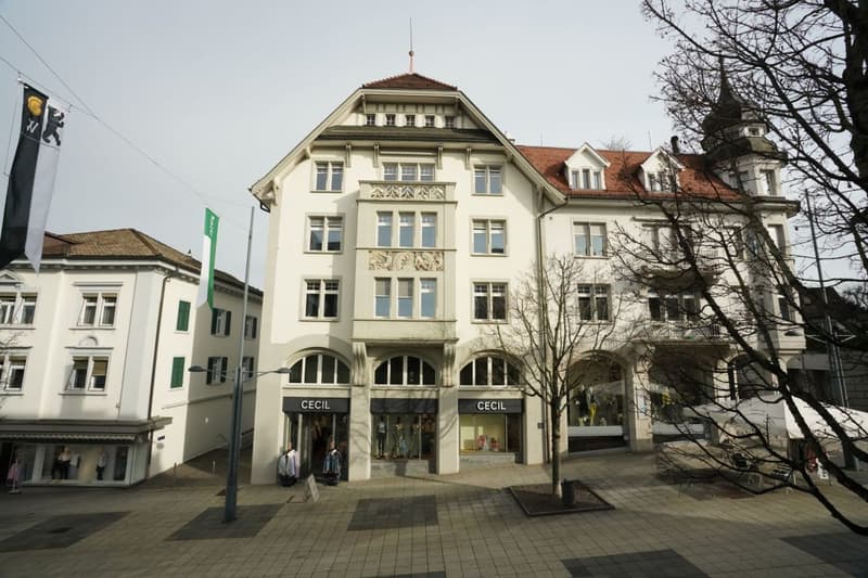 Wunderschöne Jugendstilwohnung im Zentrum von Wil (10)