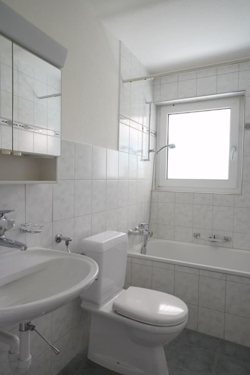 2.5-Zimmerwohnung für urbane Naturfreunde (6)