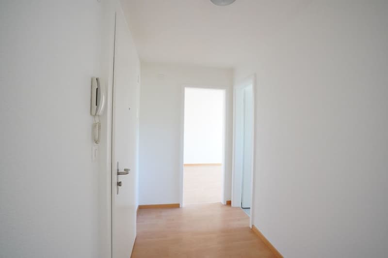 2.5-Zimmerwohnung für urbane Naturfreunde (5)