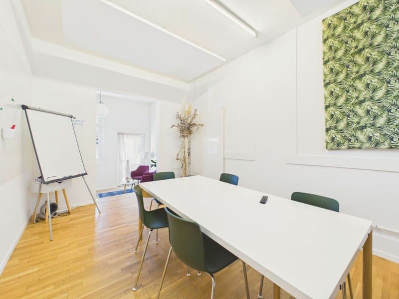 Grosszügiges Loft mit Wohn- und Gewerbenutzung im Herzen von Wil (7)