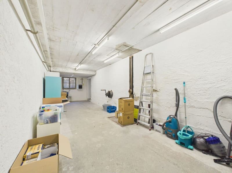 Grosszügiges Loft mit Wohn- und Gewerbenutzung im Herzen von Wil (15)