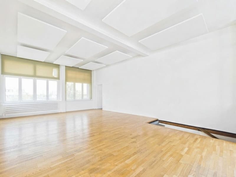 Grosszügiges Loft mit Wohn- und Gewerbenutzung im Herzen von Wil (2)