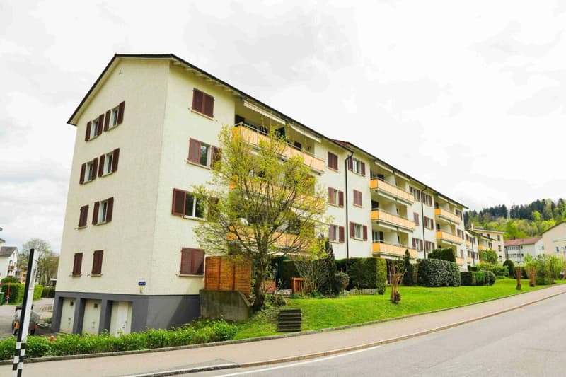 Gemütliche 3.5-Zimmerwohnung in Zentrumsnähe (1)