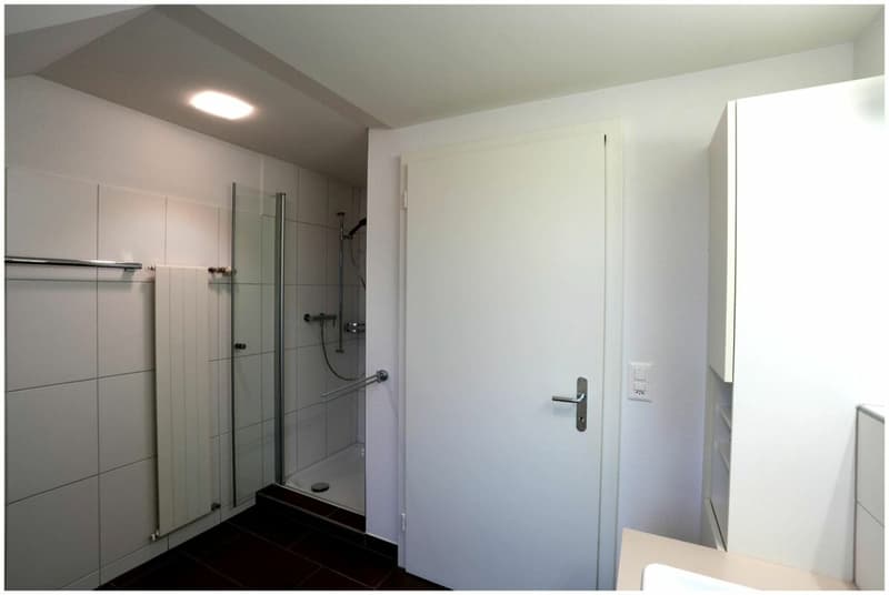 Moderne 2.5-Zimmer-Dachwohnung in Bahnhofsnähe mit hochwertigem Innenausbau (5)