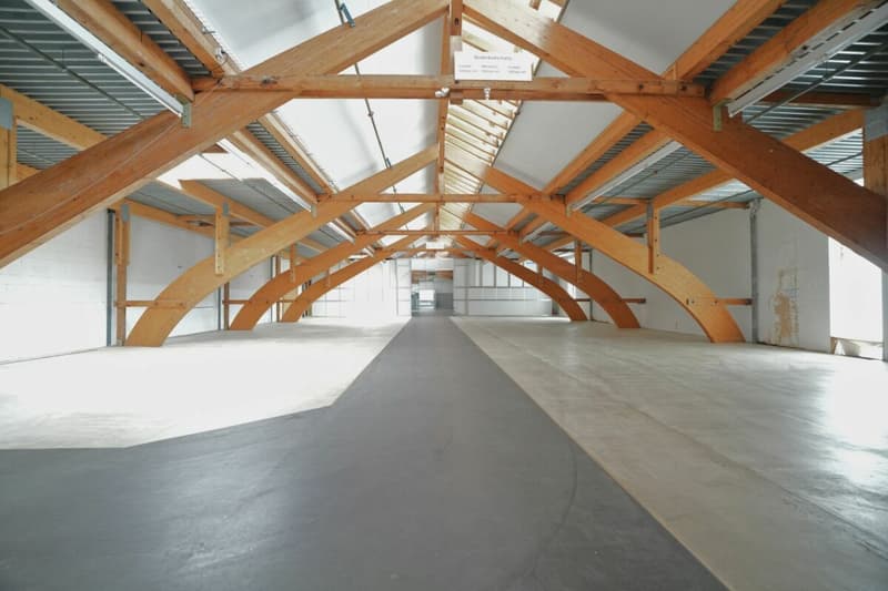 Universelle Gewerbe-/Lager- sowie Ausstellungsflächen (1)