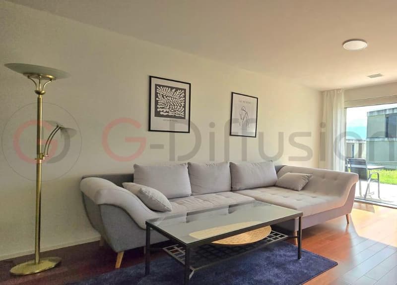 Furnished flat 4.5 room - Appartement meublé de 5.5 pièces à Lausanne (3)