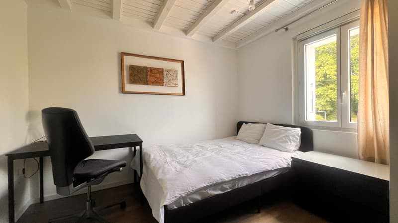 Furnished flat of 4.5 room in Epalinges - Appartement meublé de 4.5 à Epalinges (8)