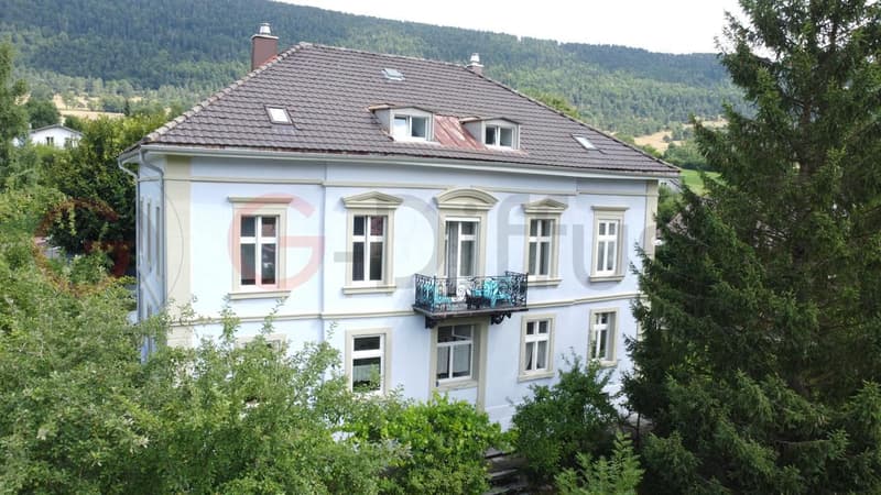 Einkommensgebäude _Investitionsmöglichkeit mit 5% Nettorendite (1)