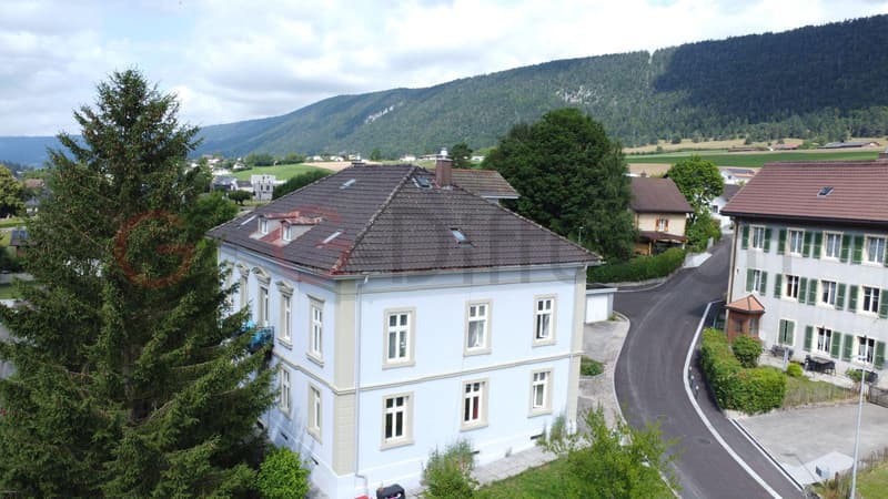 Einkommensgebäude _Investitionsmöglichkeit mit 5% Nettorendite (2)
