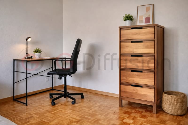 Furnished Flat of 4.5 room - Appartement de 4.5 Epalinges (7)