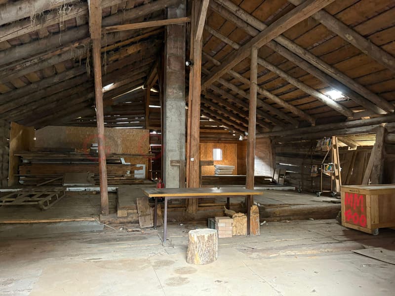 CHALET - POSSIBILITY OF RENTAL PROPERTY (3)