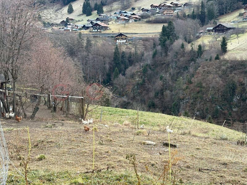 CHALET - POSSIBILITY OF RENTAL PROPERTY (4)