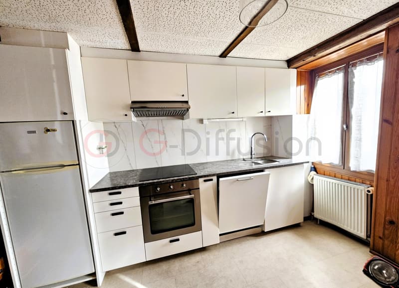 Beautiful renovated apartment (6)