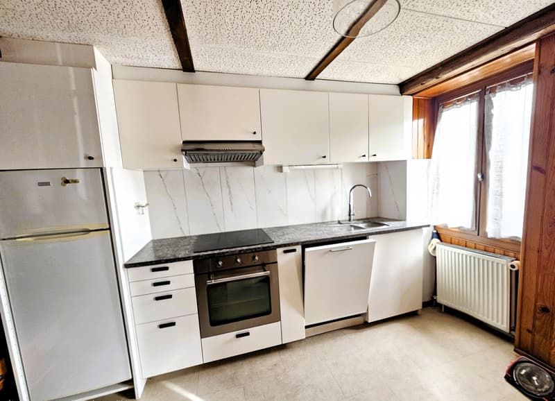 Beautiful renovated apartment (6)