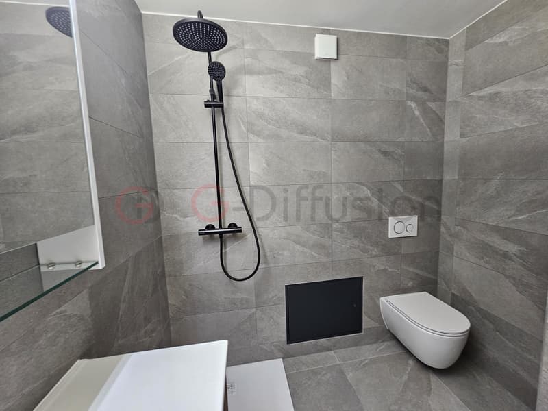 Beautiful 2.5-room renovated apartment (5)