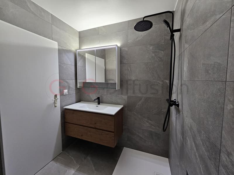 Beautiful 2.5-room renovated apartment (4)