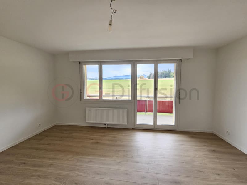 Beautiful 2.5-room renovated apartment (6)