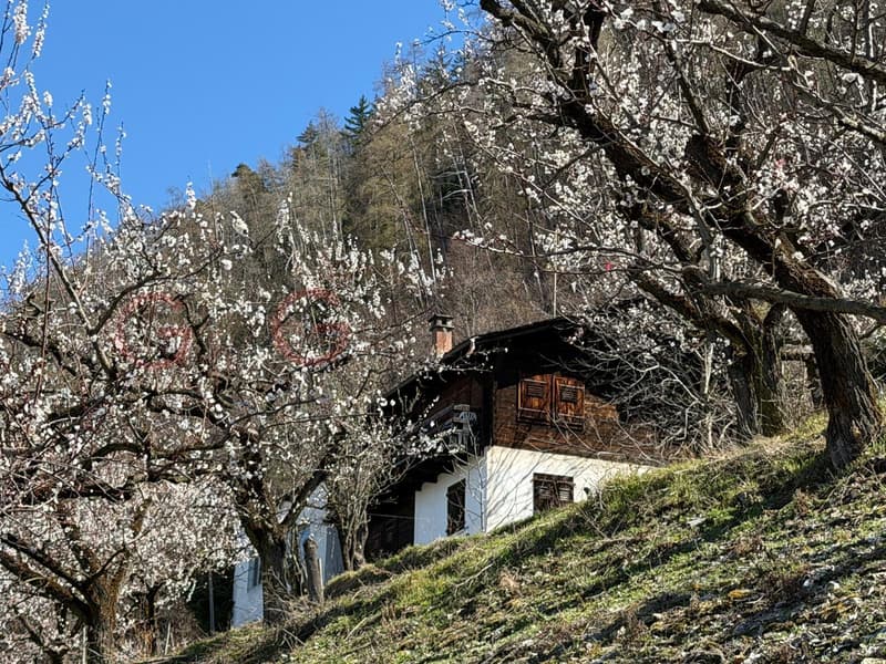 Chalet for renovation for sale in Saxon (1)