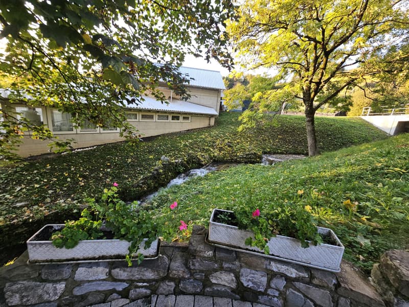 Magnifique villa individuelle avec un grand jardin (8)