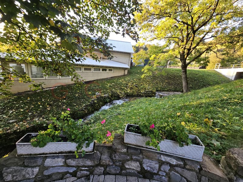 Beautiful individual villa with a large garden (8)
