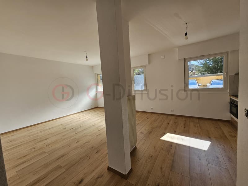 Beautiful renovated rental apartment (4)
