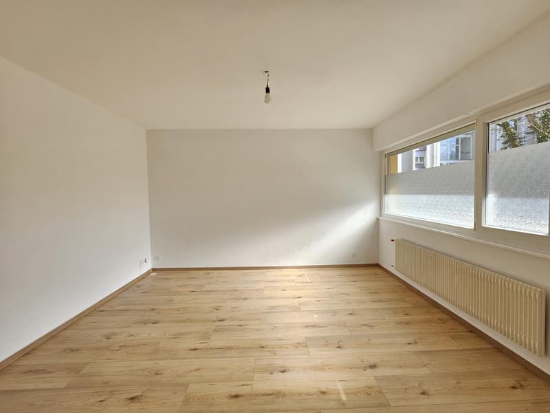 Magnifique appartement de rendement rénové (3)