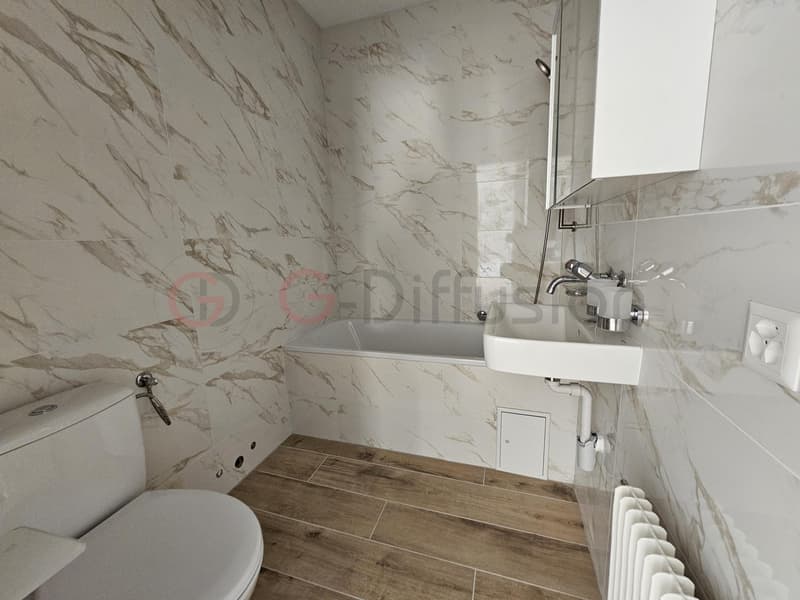Beautiful renovated rental apartment (5)