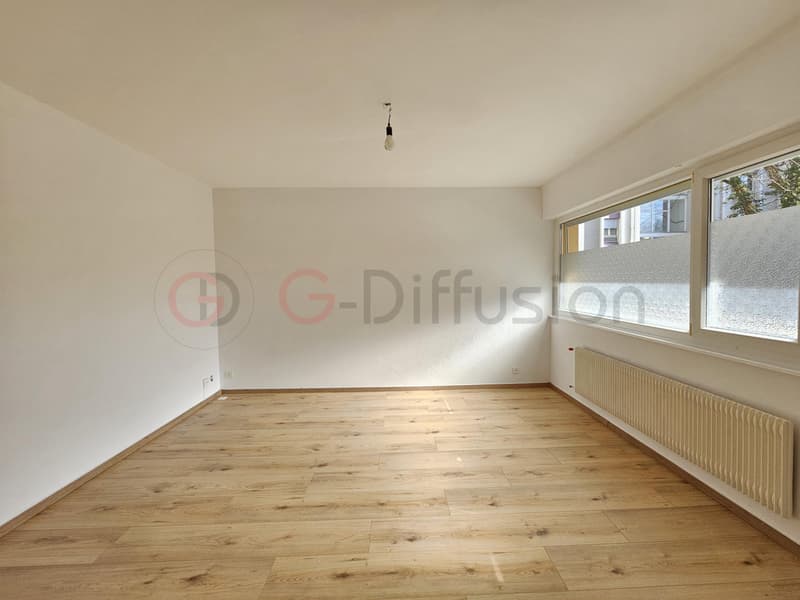 Beautiful renovated rental apartment (3)