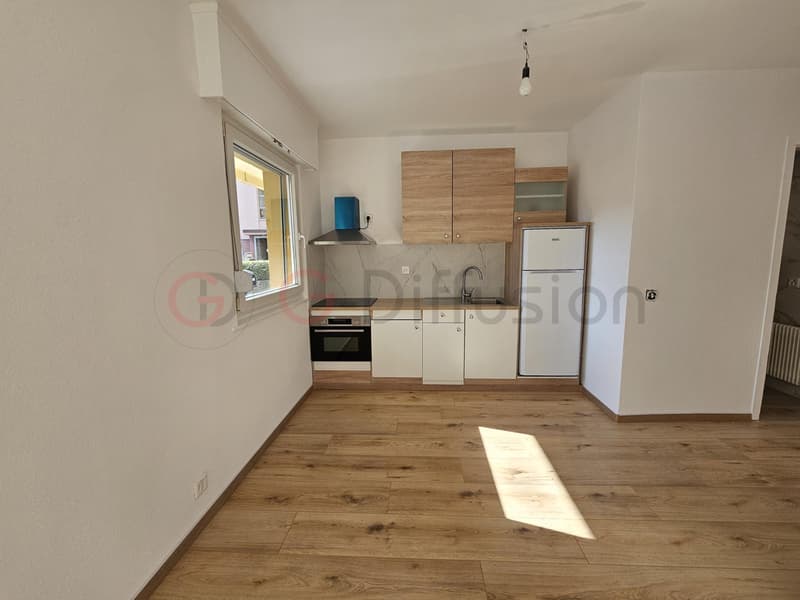 Beautiful renovated rental apartment (1)