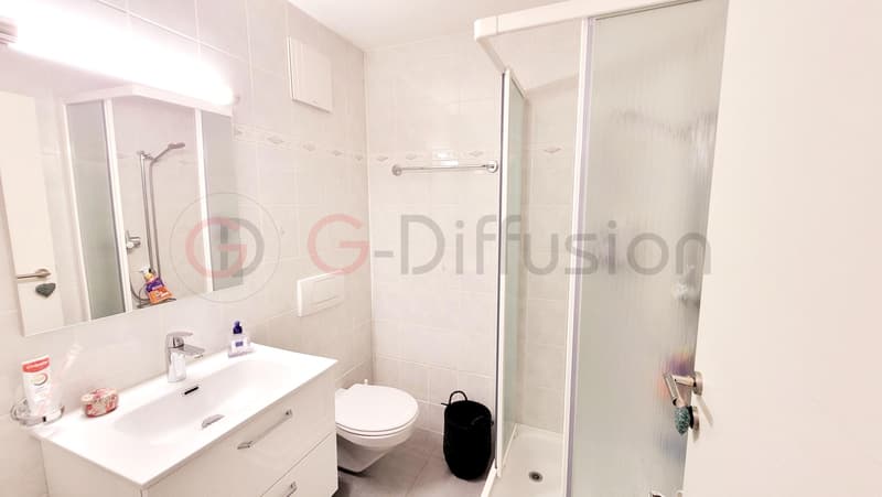 Beautiful furnished room for rent (3)