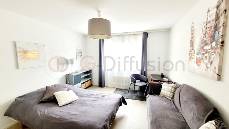 Beautiful furnished room for rent (2)