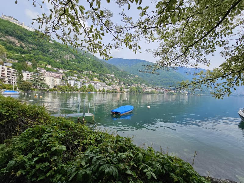 Splendido appartamento con vista panoramica impareggiabile sul lago di Ginevra e le montagne (13)